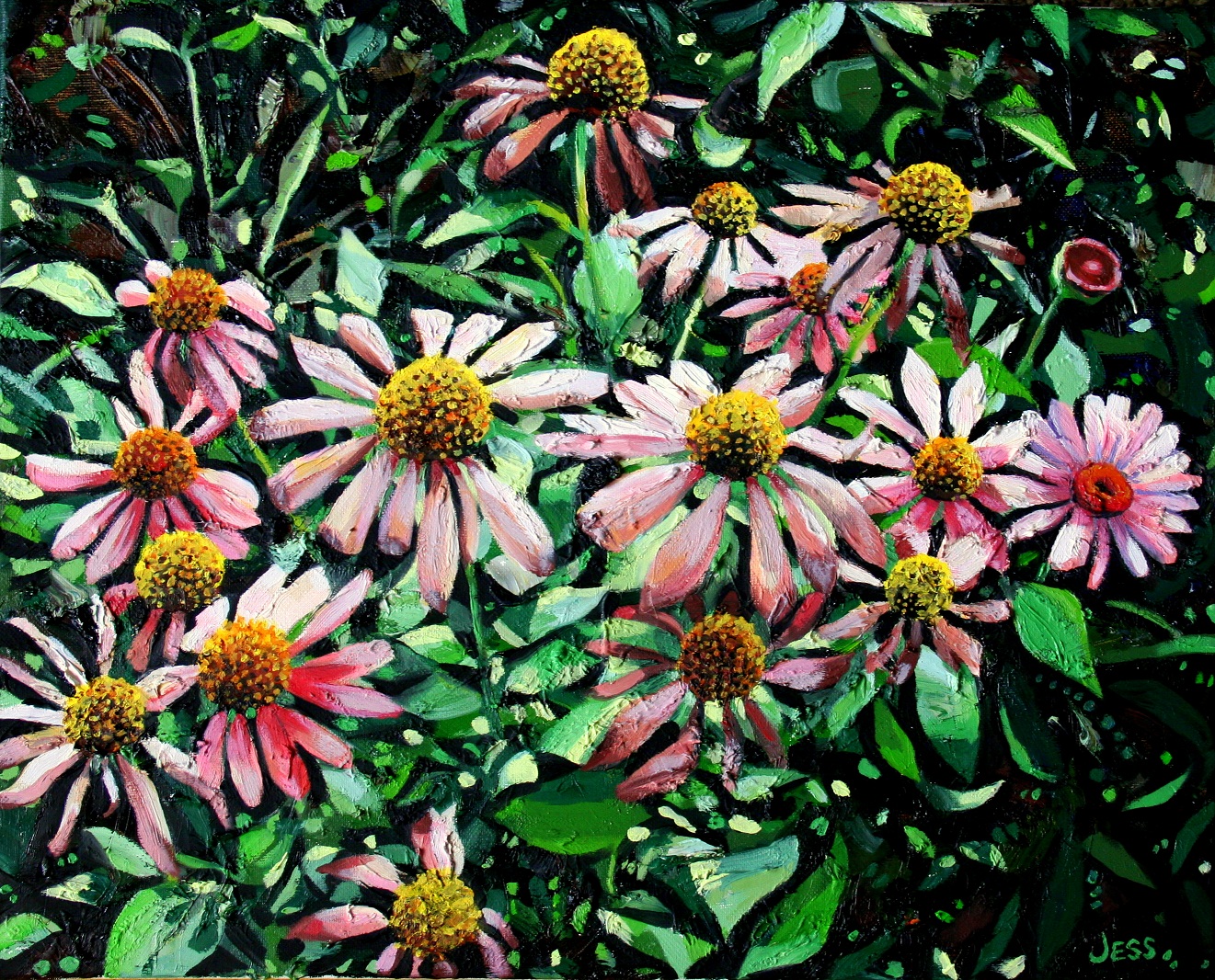 Pink Susans, oil on canvas, 16 x 20 in, Jessica Siemens 2013