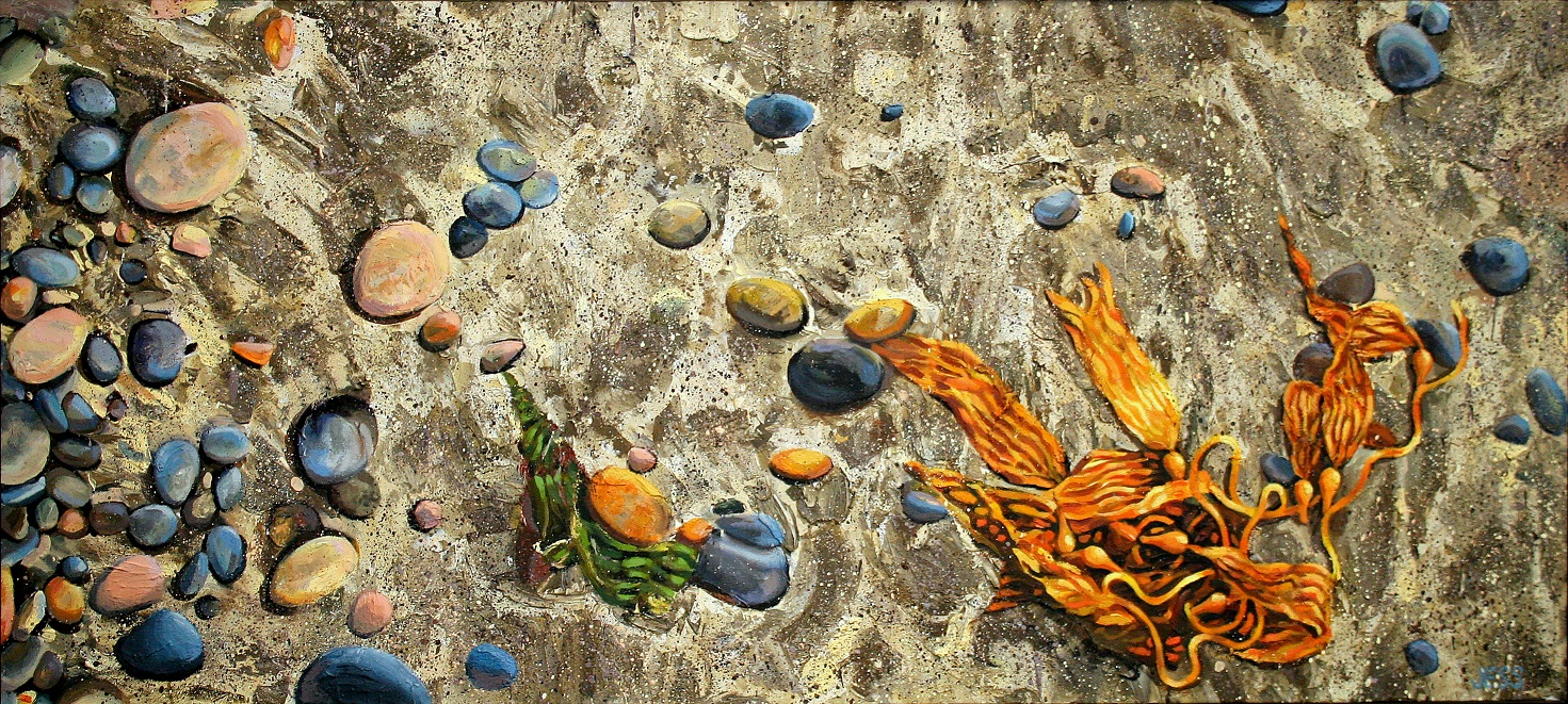 Sand Stones and Seaweed at Torrey Pines, oil on canvas, 36x60 in, Jessica Siemens 2010