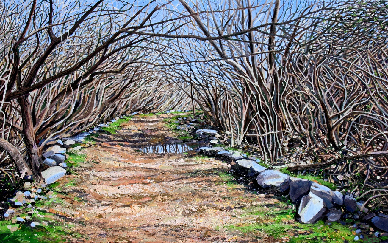 Sorrento Valley Trail, oil on canvas, 48 x 30 in, Jessica Siemens 2013