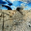 Salton Sea, oil on canvas, 12x9 ft, Jessica Siemens 2011