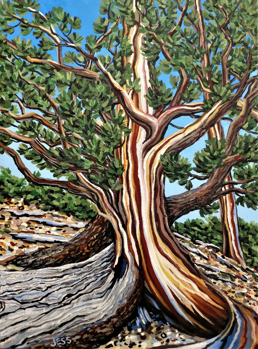 Redwood, oil on canvas, 23x32 in, Jessica Siemens 2016