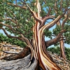 Redwood, oil on canvas, 23x32 in, Jessica Siemens 2016