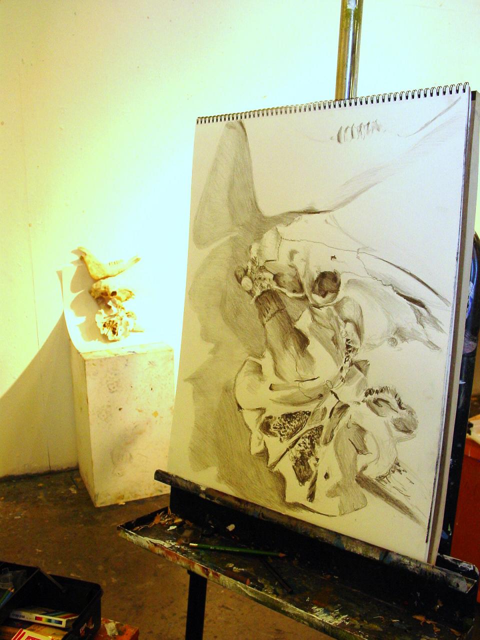 Bones Still Life, pencil on paper, 18x24 inches, Jessica Siemens 2009