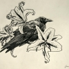 Crow and Tiger Lilly Tattoo pencil on paper Jessica Siemens 2010