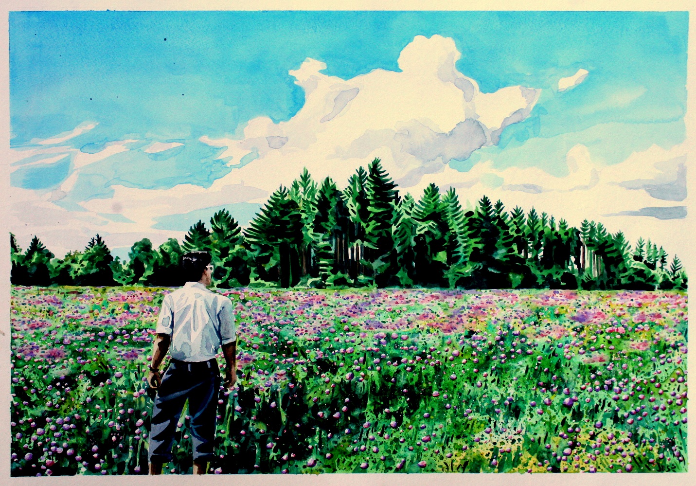Jose in a Field of Clovers, watercolor on paper, 18x24 in, Jessica Siemens 2012
