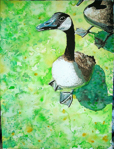 Sassy's goose, watercolor on paper, 9x12 in, Jessica Siemens 2009