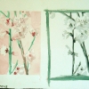 cherry-blossom-watercolor jessica siemens.jpg
