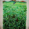 jose-grassy-field-watercolor-10x15-Jessica Siemens 2009.jpg