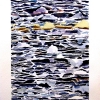 paper-watercolor-105x14-jessica-siemens-2009.jpg
