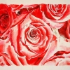 rose-watercolor jessica siemens.jpg