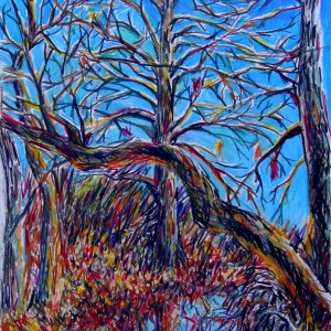 Sorrento Valley Hike color penicl Jessica Siemens 2009