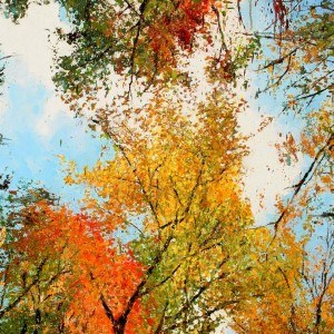 Tree Splatter oil on canvas Jessica Siemens 2010