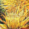 Giant Yellow Flowers, oil on canvas, 50x108in, Jessica Siemens 2009