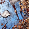 Winter Reflections, oil on canvas, 30 x 40 in, Jessica Siemens 2012