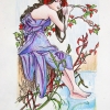 Mucha Study, Color Pencil Drawing, Jessica Siemens