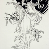 Mucha Study, Ink Drawing, Jessica Siemens