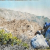 anza-borrego-landscape-watercolor jessica siemens.jpg