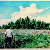 Jose in a Field of Clovers, watercolor on paper, 18x24 in, Jessica Siemens 2012