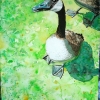 Sassy's goose, watercolor on paper, 9x12 in, Jessica Siemens 2009