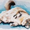 Snowball, watercolor on paper, Jessica Siemens 2012